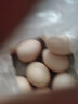 芮瑞 农家散养新鲜现捡鸡蛋笨鸡蛋谷物柴鸡蛋初生蛋 单枚40±5g 15枚 实拍图