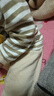 迪迪熊日记（DIDIXIONGRIJI）2件装儿童套装长袖秋衣秋裤纯棉婴儿衣服一岁小孩衣服男女童春装 长袖套装(小咖龙+咖色条纹熊) 80 cm(18M) 实拍图