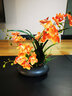 wo+ 高档新款手感PU蝴蝶兰仿真花艺客厅餐桌花电视柜装饰花假花 黑色扁陶瓷盆+B款橙色鸽子兰 实拍图