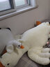 筱兔乖乖大白鹅毛绒玩具公仔抱枕玩偶布娃娃睡觉七夕情人节送女友老婆礼物 如图 1.6米（送50cm鹅） 实拍图