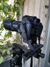 宾得（PENTAX）单反相机广角长焦标准恒定大光圈定焦百微微距镜头 DFA100mmF2.8微距镜头 实拍图
