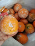 韶安广西茂谷柑石灰柑脏脏柑橘子新鲜水果 净重8斤 花皮 40个左右 新鲜茂谷柑 晒单实拍图
