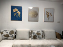 瑞尚北欧客厅装饰画壁画沙发背景墙挂画现代简约黑白餐厅三联画墙画 杏福安康 60*80/烤瓷镶钻+铝合金边框 实拍图