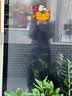 高梵黑金鹅绒服女王3.0八格收腰羽绒服女中长款冬厚外套 黑色 XL 实拍图