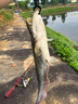 达亿瓦（DAIWA）22新款SALAMANDURA MX 火蜥蜴路亚竿翘嘴鲈鱼杆 远投竿 1.98m S66ML-2（直柄） 实拍图