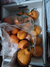 生活＆好管家 四川春见耙耙柑新鲜水果应季橘子现摘孕妇水果整箱桔子橘子 优选级市场果 8.5-9斤【单果90mm+】净重8斤 实拍图