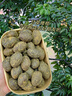 甘草橄榄正宗广东潮汕特产甜橄榄蜜饯果干年货整箱新货解馋小零食 买250g送250g【共500g】 实拍图