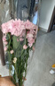 京东鲜花 小雏菊 粉色系 5枝 实拍图