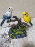 Disney夏季鹦鹉喜鹊儿童电动声控小鸟玩具感应玩具鸟双鸟情侣对鸟鸟笼 双虎皮鹦鹉蓝色 实拍图