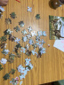 邦臣小红花•5岁+恐龙拼图附赠20个全彩恐龙贴纸 儿童拼图智力开发环保印刷锻炼观察力耐力专注力儿童恐龙游戏 实拍图