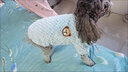 派乐特宠物猫咪狗衣服秋冬季保暖布偶德文小犬马甲两脚冬装可爱冬天M号 实拍图