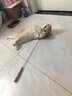 多可特逗猫棒长杆木柄伸缩羽毛逗猫棒替换头猫咪用品猫玩具耐咬逗猫器 可伸缩（一杆+1个羽毛头） 实拍图