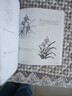 【官方正版】黑白百花绘书籍 100种花语绘盛宴 线稿技法书铅笔画教程黑白画意铅笔画教程入门书籍手绘白描工笔花卉图书籍 黑白百花绘 实拍图