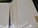 文谷(Wengu)a4活页纸替芯 活页本活页夹/网格活页笔记本/方格内芯30孔60张 A460-2 实拍图