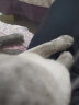 渔极（AkikA）猫罐头泰国原装进口AK系列猫湿粮宠物猫零食成幼猫罐头 ak03金枪鱼+银鳕鱼（12罐） 实拍图