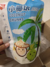 春光（chun guang） 椰子块 海南特产 烘烤椰子肉片干食品小吃休闲零食 椰子块60g（海盐味） 实拍图