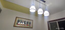 格蕴美式餐厅吊灯三头北欧现代简约创意复古田园个性吧台餐桌饭厅灯具 3头黑色描金直盘 实拍图