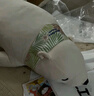 LIV HEART日本北极熊睡觉抱枕毛绒玩具布娃娃公仔成人陪伴玩偶礼物女 【清凉升级款】幸运熊 L号（尺寸见详情） 实拍图