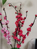 花艺赫家饰  仿真梅花枝假花摆件绢花腊梅干花桃花客厅摆设花束中式家居装饰 94cm浅粉长枝梅花【2支】 实拍图