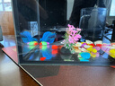 爬将军桌面斗鱼缸超白鱼缸迷你小型家用客厅办公室生态懒人水草缸 15cm缸（带盖+灯） 实拍图