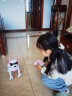 kidsdeer声控智能机器狗儿童玩具男孩女孩婴幼儿早教机器人1-2-3-4-5岁 礼盒-声控版-英语早教+动物模仿 晒单实拍图