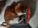 美吉氏 宠物猫窝狗窝秋冬季猫垫狗垫泰迪博美比熊金毛四季可用 橙色S号（5斤以内） 实拍图