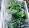首诚高端蔬菜免洗采摘即食轻食沙拉西餐火锅鲜活首诚植物工厂采摘直发 红叶生菜（10袋） 实拍图