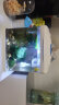 森森（SUNSUN）鱼缸水族箱桌面生态金鱼缸玻璃迷你小型客厅懒人免换水家用缸 (高清玻璃)白230(带20件套) 实拍图