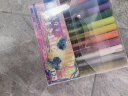 Touch mark丙烯马克笔12色水彩笔防水速干笔DIY涂鸦绘画笔儿童学生彩色笔芯笔套装礼物 实拍图