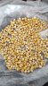 梅昂爆米花玉米种子高产早熟爆米花专用南北方大田种植爆裂玉米粒种籽 珍珠爆米花玉米种子 500克 晒单实拍图