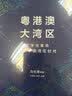 粤港澳大湾区 民营企业突围 民营企业突围书单 实拍图