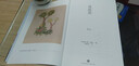鸢尾花（“浪漫主义的自由骑士”黑塞，兼具诗意与哲思的故事） 实拍图