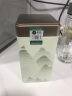 宋品2024年新茶现货明前特级安吉特产白茶春茶绿茶茶叶单罐100g装 实拍图