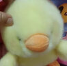 Disney日本ins动物公仔小鸡小兔子毛绒玩具玩偶孩子宝宝娃娃儿童节礼物 球球黄色小鸡 约22厘米 晒单实拍图