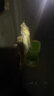 丹尼富（Dlyfull）竿稍灯RT70-S 咬钩变色筏竿远投海竿抛竿夜钓夜光棒 RT70-S（智能款） 实拍图