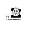 炫酷（xuaN Ku） 跳绳无绳成人智能计数两用神健身燃脂减肥锻炼中考专用运动器材 两用款【无绳球+长绳】暗夜黑 实拍图