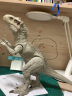 美泰（mattel）新品美泰侏罗纪恐龙玩具侏罗纪世界2反派迅猛龙电影  声光暴虐霸王龙 (可张嘴GCT95 实拍图