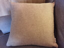 居八佰纯色亚麻沙发抱枕样板房靠垫客厅床头民宿靠枕套现代简约腰枕 卡其色（加厚素色亚麻） 45*45cm抱枕套+枕芯 实拍图