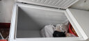 雪贝娜冰柜商用大容量全冷冻家用双温卧式冷柜展示柜 1028单温智能温控 实拍图