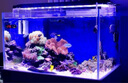 YEE鱼缸加热棒自动恒温防爆加温棒水族箱加热器乌龟加热棒加热器 不锈钢加热棒HC500w 实拍图