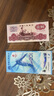 金永恒 老版第三套人民币钱币 第三版纸币收藏 1元纸币拖拉机 单张 实拍图