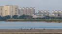 尼康/Nikon D5200 D5300 D5500 D5600 二手单反相机学生新手入门级数码相机 D5500（18-55mm )套机 99新 实拍图