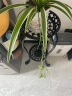 安尔雅  欧式铁艺阳台花架花盆多层客厅室内外绿萝吊兰花盆架加厚花架子 实拍图