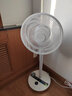 西哲（sezze）日本空气循环扇家用电风扇直流变频落地扇360°摇头节能果岭风扇遥控节能台立两用扇轻音扇涡轮扇 Y-268GN（祖母绿） 实拍图