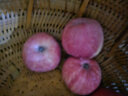 陇原红 静宁苹果 甘肃红富士苹果 新鲜孕妇水果吃的时令苹果箱礼盒送礼 带箱5斤装70果 实拍图