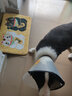 洛瑞夫 宠物狗狗猫咪狗猫伊丽莎白圈加深防舔圈头套狗狗猫咪绝育脖圈 2号脖围40-46cm-30斤以下宠物 实拍图