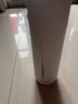 茶花家用带盖玻璃杯男女学生水杯便携泡茶杯带盖两用杯子随手杯 白色310ml 实拍图