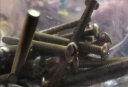 公牛（BULL）明装墙上面板钉通用型自攻螺丝明装开关插座自攻螺丝塑料膨 6公分自攻螺丝20只装 实拍图