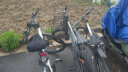 喜德盛（xds） 山地自行车黑客350机械碟刹禧玛诺21速 入门休闲单车 白黑灰17 实拍图