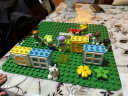 乐高（LEGO）积木拼装得宝10993 3合1创意树屋大颗粒积木桌儿童玩具儿童节礼物 实拍图
